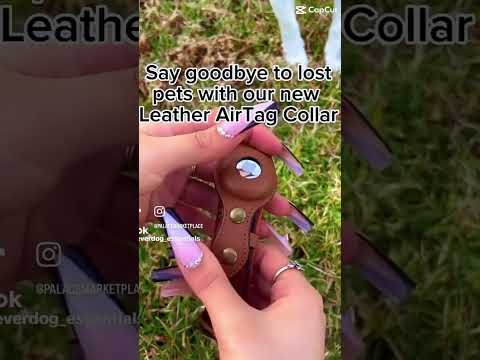 Leather AirTag Dog Collar